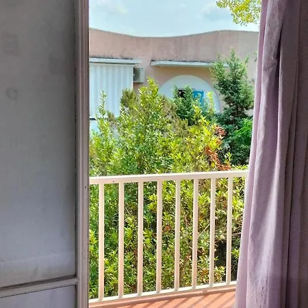 Piccolo Bilocale Immerso Nel *